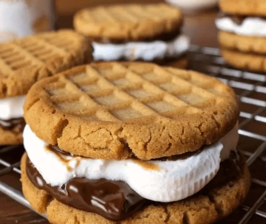 Peanut Butter S’mores Sandwich Cookies – A Cozy Classic with a Nutty Twist 1 Screenshot 2025 07 30 161700